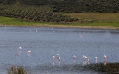 Laguna de Caracuel