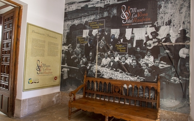 Museo Rosa del Azafrán