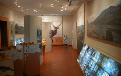 Museo de la Fauna de Cabañeros