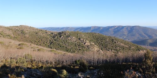 1515864804_sierra