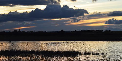 1517430090_dsc_0025