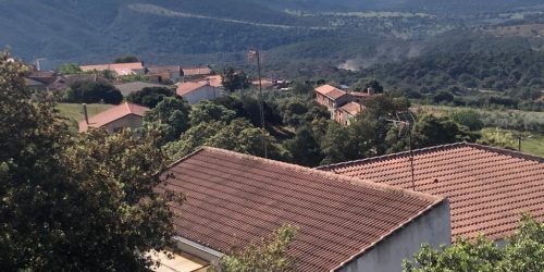 1618835789_solanilla-del-tamaral