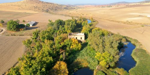 1619084710_dji_0084