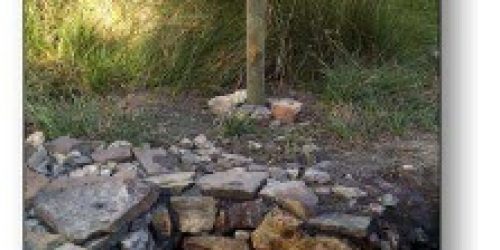 1623841343_fuente-las-canalejas