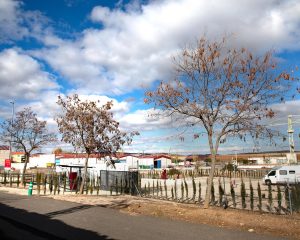 1642670018_viso-del-marques_06