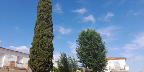 1687176712_plaza-mayor