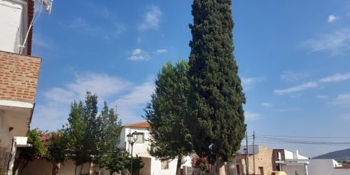 1687176712_plza-