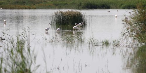 LAGUNAS DE ALCÁZAR